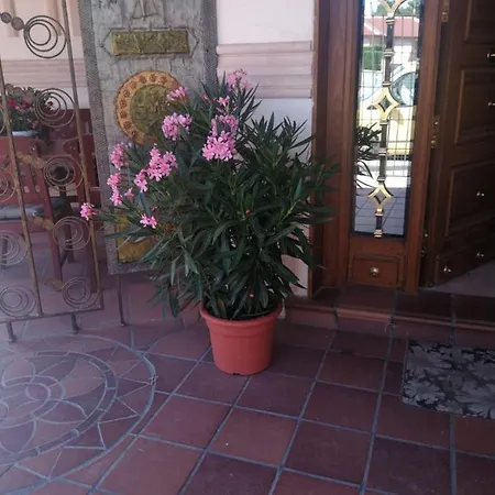 Villa Mimar De Pinares Holiday home *